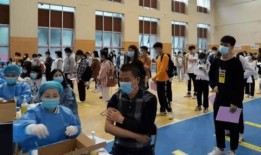 赛诺预测爆料最新消息,最新爆料揭示未来市场趋势