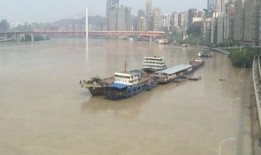 重庆洪水最新爆料信息网,紧急救援与灾情实时追踪